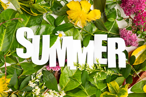 Preview: Summer leaves and flowers with paper cut text Summer. Green nature, vacation time banner. Top view