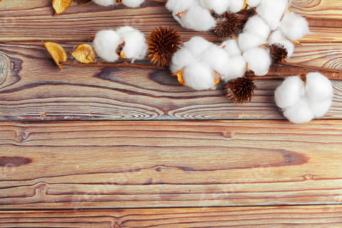 Preview: Branch with cotton flowers on wooden background