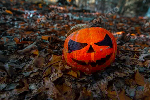 Preview: Halloween Pumpkin in the Forest. Scary pumpkin decorations with creepy toothy smile at wood