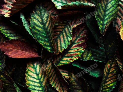 Preview: Green leaves in dark colors