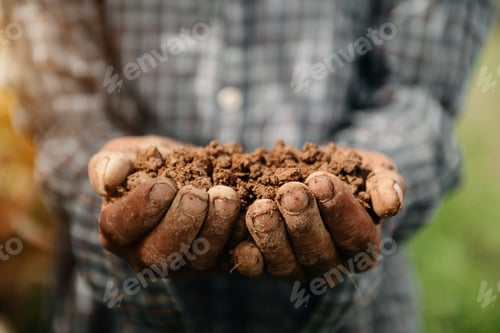 Preview: Hand Holding Soil in Rural Outdoor Setting