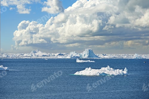 Preview: Arctic beauty
