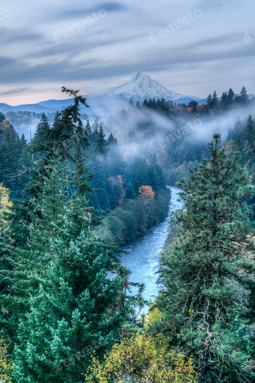 Preview: River flows through autumn forested valley below with a mountain in the background