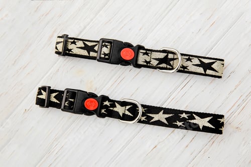 Preview: Dog Collar and Leash set. Pet Supplies and Walking Gear Collection