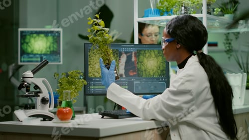 Preview: Scientist looking at green sapling for medical experiment