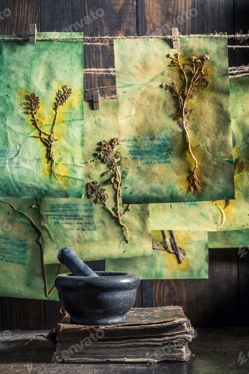 Preview: Strange herbalist workshop with plant descriptions and dried cards