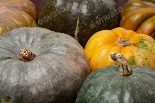 Preview: Background of a lot of colorful pumpkins