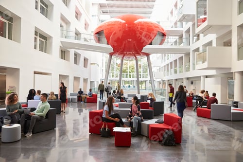 Preview: Students sit talking in the atrium lobby of their university