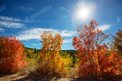 Preview: Autumn season