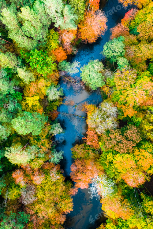 Preview: Aerial view of colorful forest and blue river in autumn