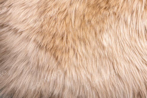 Preview: Trendy brown artificial fur texture. Fur pattern top view. Brown fur background