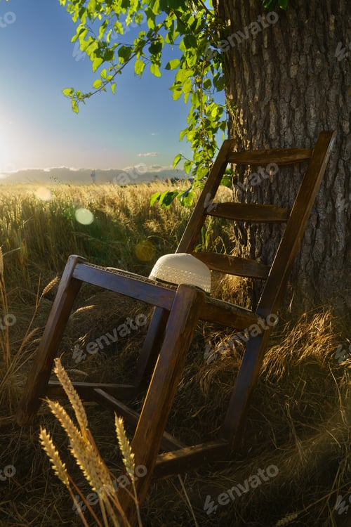 Preview: Chair