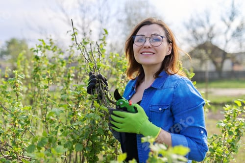Preview: Working mature woman in spring garden with pruners