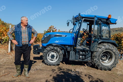 Preview: Grapes and Gears A timeless scene of a senior farmer and tractor shaping the vineyard destiny.