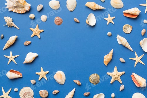 Preview: Summer time concept Flat lay composition with beautiful starfish