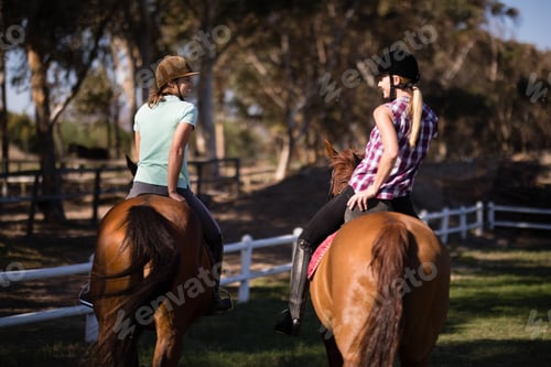 Preview: Rear view of happy female friends horseback riding
