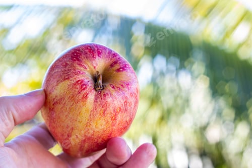 Preview: apple