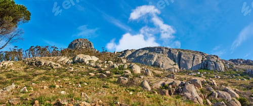Preview: Nature - Cape Town area