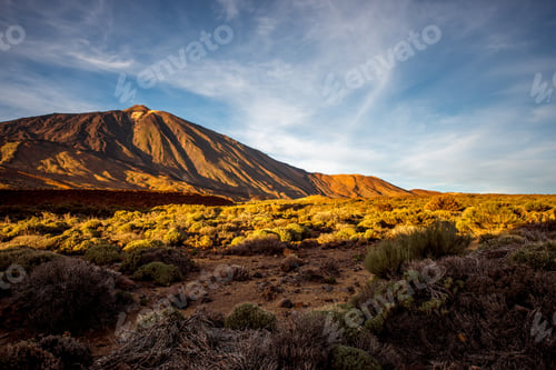 Preview: Teide national park