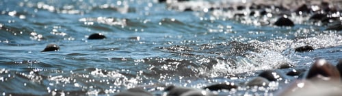 Preview: Shimmering sparkling waterfront shore with rocks web banner