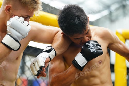 Preview: Mixed Martial Art, A powerful elbow that hits the opponent's face or head.