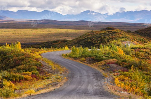Preview: Road in tundra