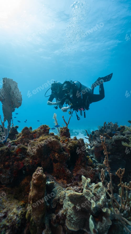 Preview: The loving couple dives among corals and fishes in the ocean
