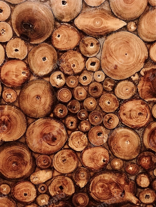 Preview: Pile of Teakwood Logs