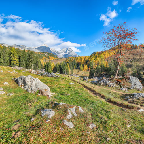 Preview: Amazing view of mountains and valleys with larch forest and wonderful sky are located in Filzmoos