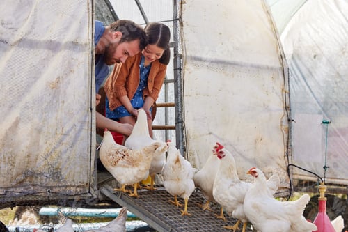 Preview: Farming teaches kids where food come from
