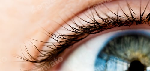 Preview: Selective focus shot of human eyelashes
