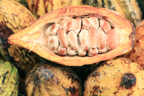 Preview: Cocoa pods