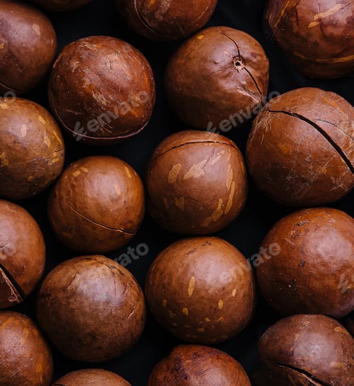 Preview: Macadamia nuts close up. Macadamia nuts background