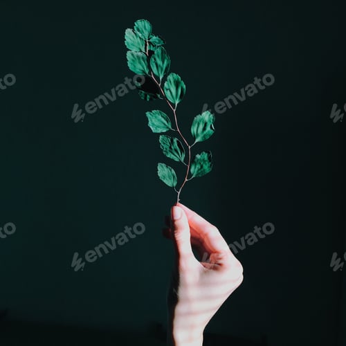 Preview: Light