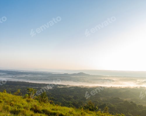 Preview: Landscape View of Lush Green Forest with Fog