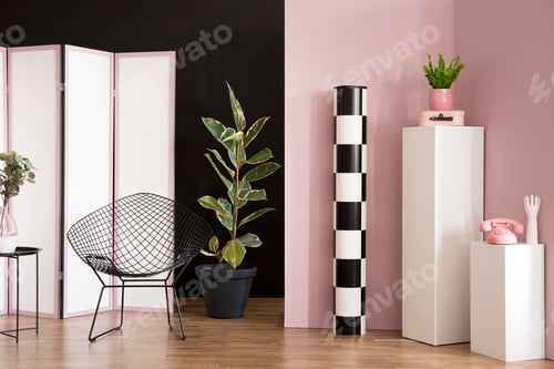 Preview: Ficus in pink studio interior