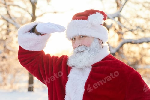 Preview: Portrait of Santa Claus in Forest