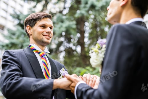 Preview: Gay couple celebrating wedding