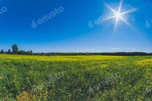 Preview: nature