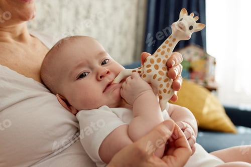 Preview: Close-up of a baby sitting on the mother's arms and playing with a toy giraffe. The child looks into