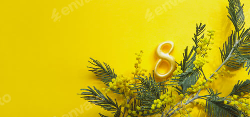 Preview: A bouquet of mimosa and the number 8 on a yellow background with copyspace