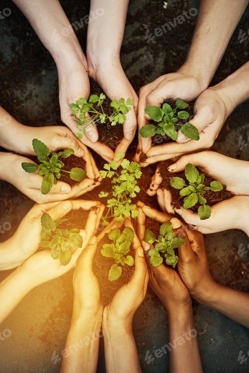 Preview: Cropped shot of a group of people holding plants growing out of soil