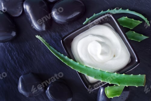 Preview: Aloe Vera with Lotion Box
