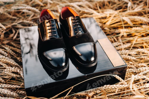 Preview: Classic black men's shoes are in the field on what.Shoes are on the box