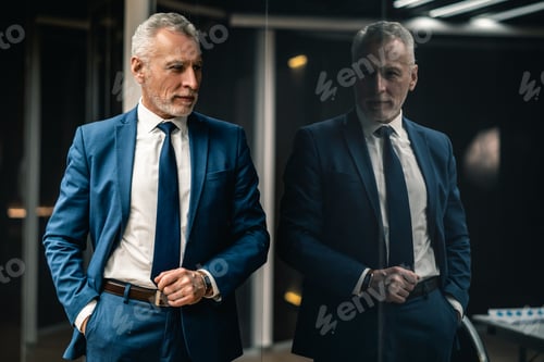 Preview: The handsome businessman standing indoor.