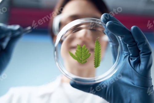 Preview: woman biologist scientist research diagnostics biology science