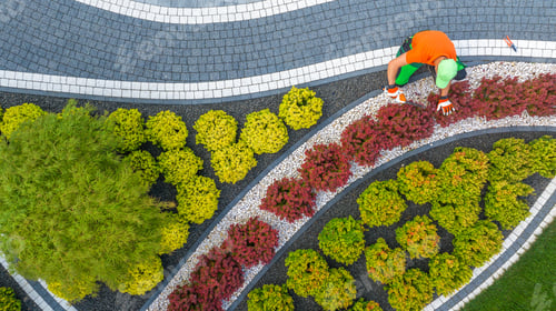Preview: Gardener Shaping Back Yard Garden Plants Using a Trimmer