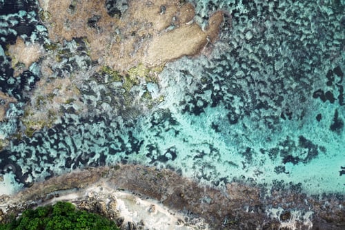 Preview: Aerial tropical shoreline with turquoise water over coral reef