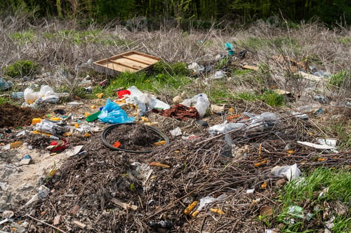 Preview: The problem of man-made waste. Climate crisis in nature, land pollution near a forest park. Dirty