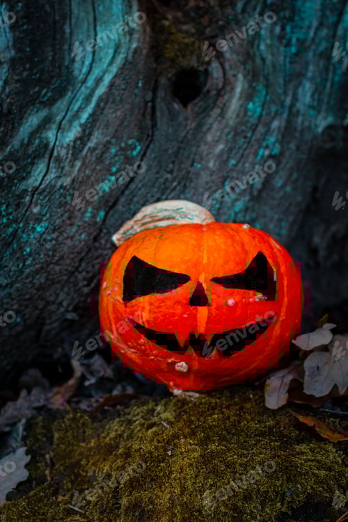 Preview: Halloween Pumpkin in the Forest. Scary pumpkin decorations with creepy toothy smile at wood